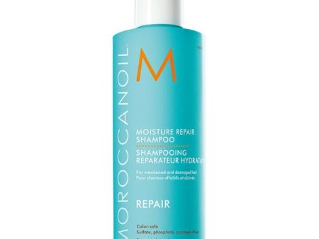 Moisture Repair Shampoo on Sale