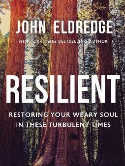 Resilient : Restoring Your Weary Soul in These Turbulent Times For Cheap