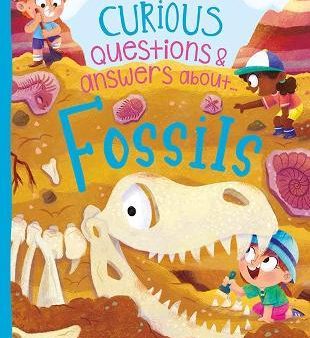 Curious Questions & Answers About Fossils on Sale