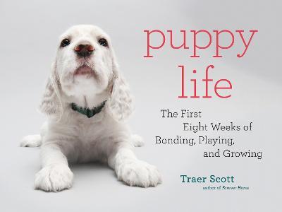 Puppy Life : The First Eight Weeks of Bonding, Playing, and Growing Sale