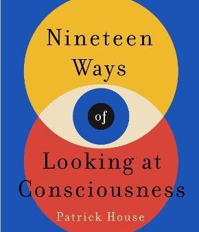 Nineteen Ways of Looking at Consciousness (UK) For Sale