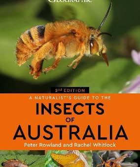 A Naturalist s Guide to the Insects of Australia, 2E For Cheap